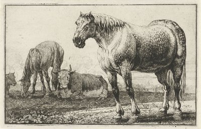 Horses and Cows by Jan van den Hecke