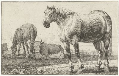 Horses and Cows (Animals) (Zoographiam) by Jan van den Hecke