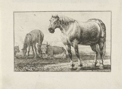 Horses and Cows by Jan van den Hecke