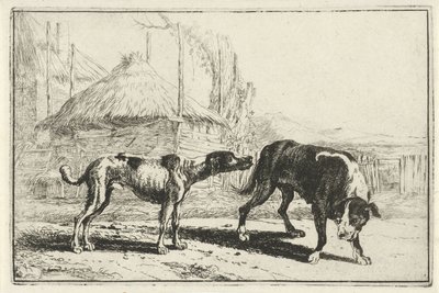 Male and Female Dog (Series: Animals, Zoographiam) by Jan van den Hecke