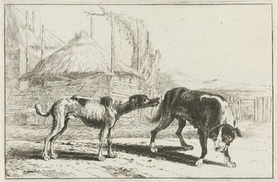 Male and Female Dog by Jan van den Hecke