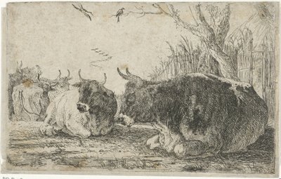 Resting Cows (Animals) (Zoographiam) by Jan van den Hecke