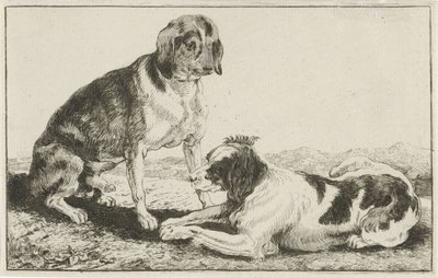 Two Resting Dogs by Jan van den Hecke
