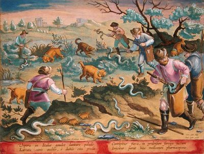 Italian Vipers Eating Toads, plate 60 from 
