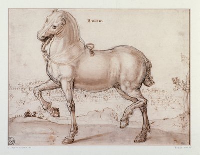 Study for a horse Drawing by Giovanni Stradano by Jan van der Straet