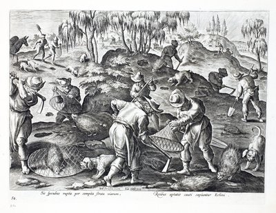 Digging Out and Capturing Porcupines, plate 54, illustration from 