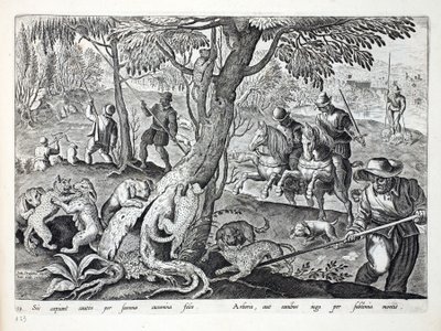 Hunting Cats with Dogs, Illustration from 