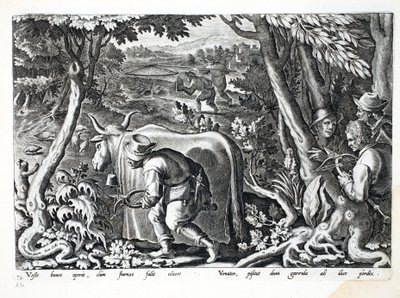 Hunting for Starlings and Partridge, Illustration from 