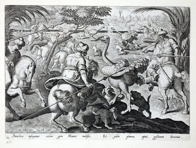 Moors on Horseback Hunting Ostriches, plate 62, illustration from 