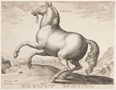 A French Horse, from the first set of 