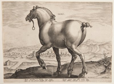 A Saxon Horse, from the First Set of 