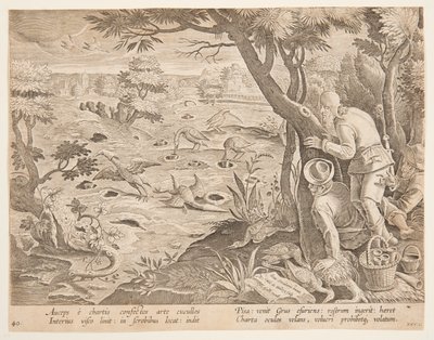Crane Hunt using Cones (Plate 28 in the Venationes Ferarum, Avium, Piscium Series) by Jan van der Straet, called Stradanus