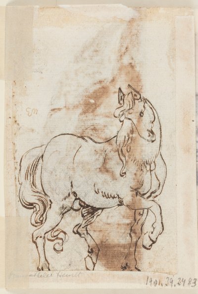 Page of a Drawing Book; Study for Painting of St. Magdalen; A Stallion by Jan van der Straet, called Stradanus
