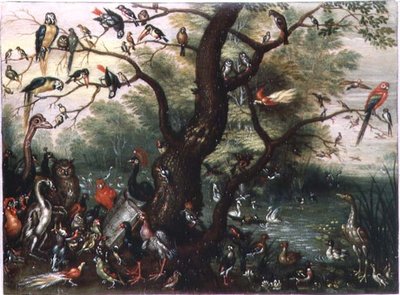 Concert of Birds by Jan van the Elder Kessel