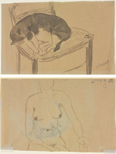Sleeping Cat (recto) Torso of a Nude Woman (verso) by Jane Poupelet