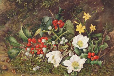 Holly and Christmas Roses by Jane Taylor