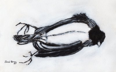 Dead Bird by My Stairwell by Janel Bragg