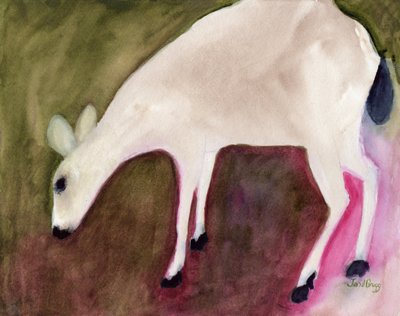 Deer from Anacortes, c.2018 by Janel Bragg