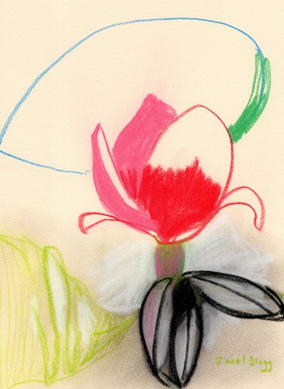 Magnolia in Colour by Janel Bragg