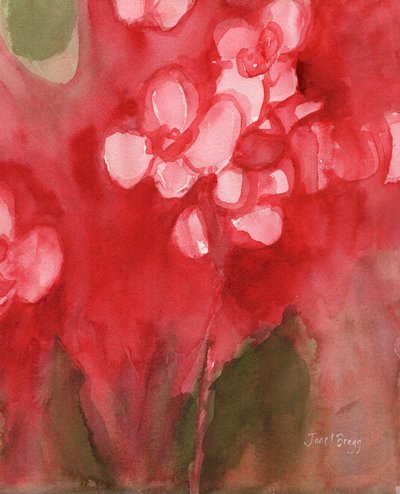 Orchid in Alizarin Crimson, c.2017 by Janel Bragg