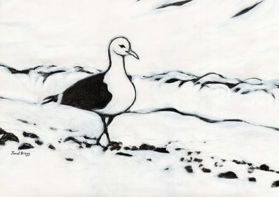 Seagull from Washington Park, c.2017 by Janel Bragg