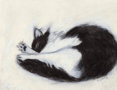 Thomas Taking a Nap by Janel Bragg