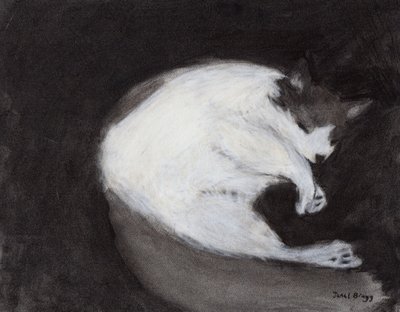 Thomas Taking a Nap by Janel Bragg