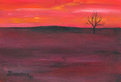 Solitary Sunset Tree by Janine Brewster