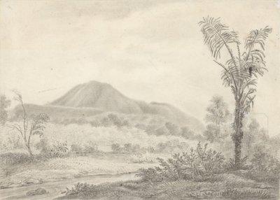 Javanese Landscape with Mountain and Palm by Jannes Theodorus Bik