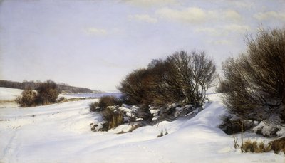 Winter Near the Sea by Janus La Cour