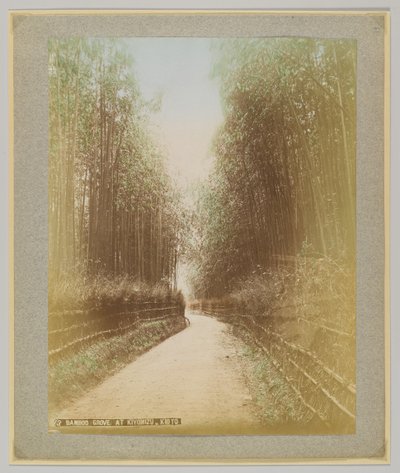 Bamboo Grove at Kiyomizu, Kyoto, Japan by Japanese Photographer