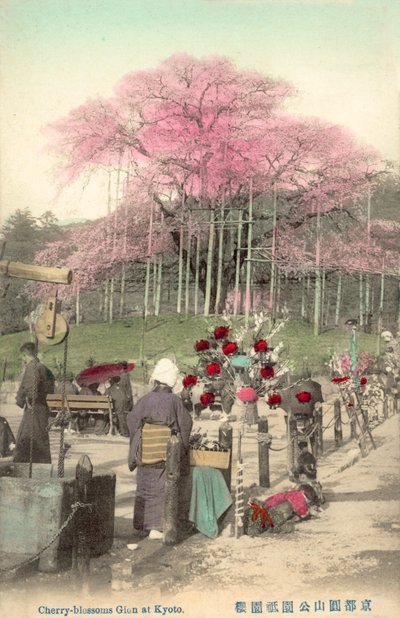 Cherry Blossoms, Gion, Kyoto, Japan by Japanese Photographer