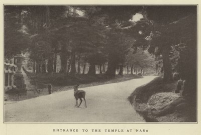 Entrance to the Temple at Nara by Japanese Photographer