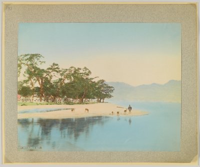 Miyajima, Japan by Japanese Photographer