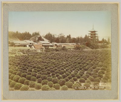 Pagoda of Toji and Tea Garden, Kyoto, Japan by Japanese Photographer