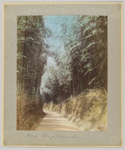 Road through a bamboo grove, Japan by Japanese Photographer