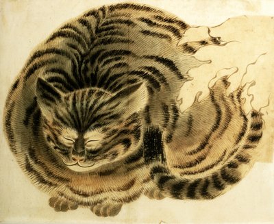 Sleeping Cat, published c.1850 by Japanese Photographer