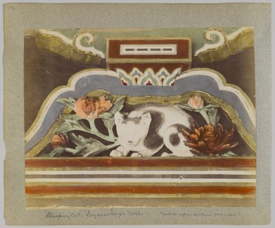 Sleeping cat (detail), Tōshō-gū, Nikko, Japan by Japanese Photographer