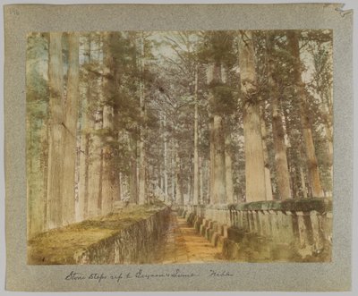 Stone steps up to Ieyasu