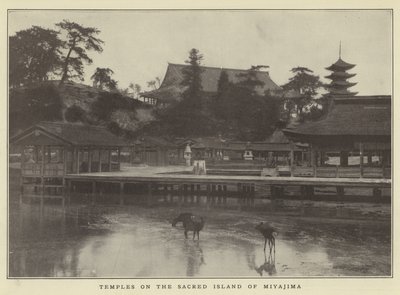 Temples on the Sacred Island of Miyajima by Japanese Photographer