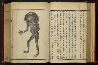A Neneko Kappa, from 