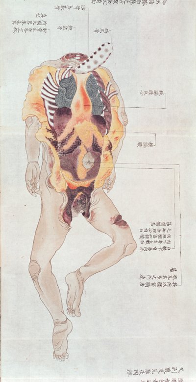 A disembowelled body from the dissection of a torture victim of 1796, from a makimono of a Midori doctor, 1842 by Japanese School