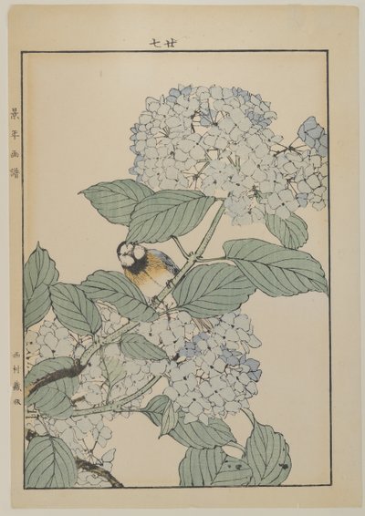 Bird with Hydrangea, Meiji Period, c.1868-1912 by Japanese School