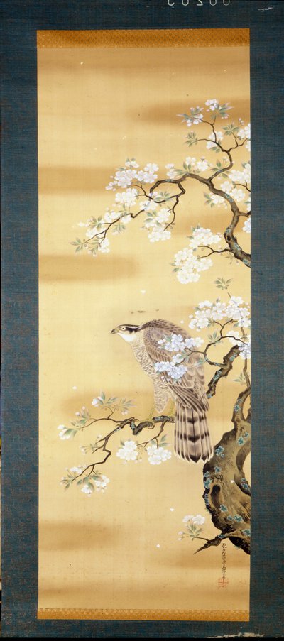 Falcon on a branch of Japanese cherry blossom. Silk painting from the 18th century of Japan. Genoa. Museo Chiossone. by Japanese School