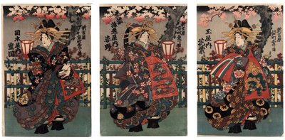 Courtesans Shigeoka, Sugatano and Hanamurasaki (Triptych) by Japanese School