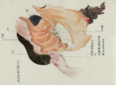 The stomach and intestines from the dissection of a torture victim of 1796, from a makimono of a Midori doctor, 1842 by Japanese School