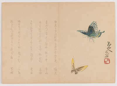 Two Butterflies by Japanese School