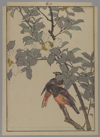 Two Birds with White Flowers, Meiji Period, 1892 by Japanese School