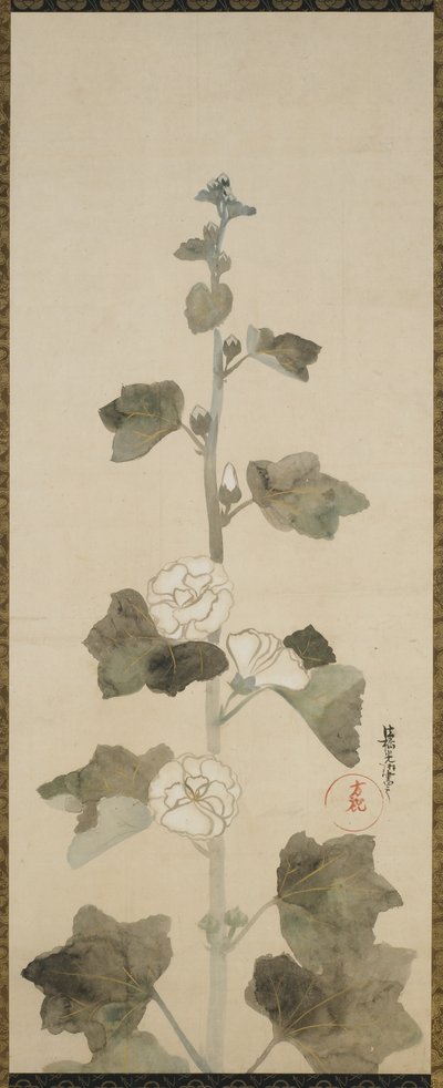 White hollyhocks, Edo period by Japanese School