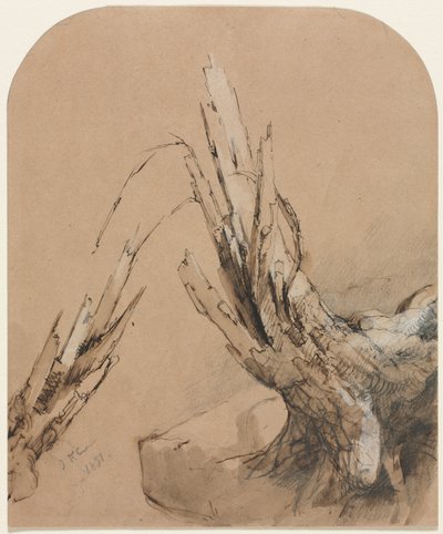 A Blasted Tree (recto), Floorplan (verso) by Jasper F. Cropsey